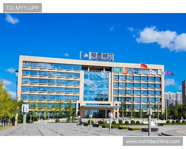 凯发集团官网安全保障措施解析，保障玩家资金与个人信息安全